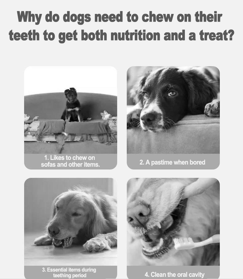 FurCaper™Dog tooth-chewing stick