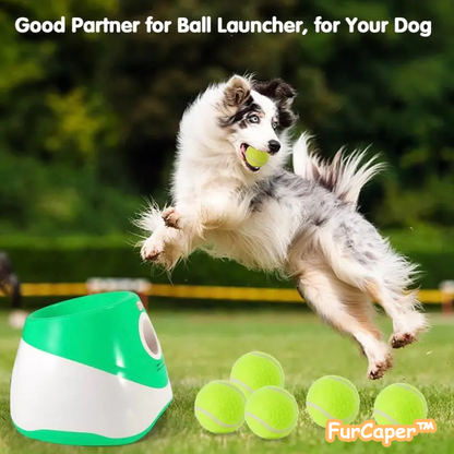 FurCaper™Dog Ball Machine