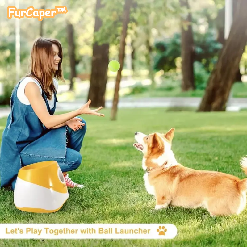 FurCaper™Dog Ball Machine