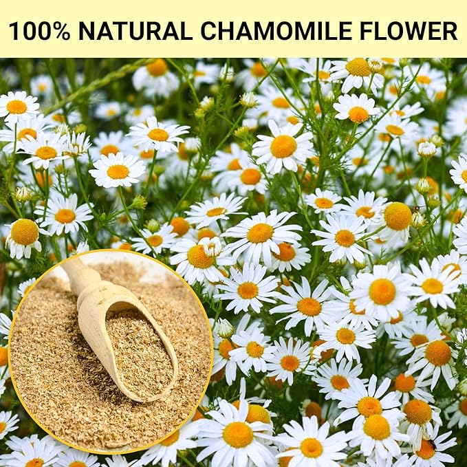 “FurCaper™ Chamomile Herbal Tea – Pure, Soothing, Caffeine-Free Relaxation (50 Bags)”
