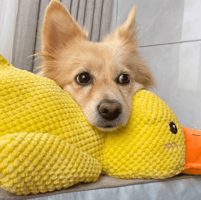 FurCaper™ Calming Duck Toy